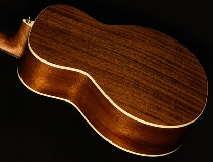 Artist Series ALJ2 Little Jumbo
