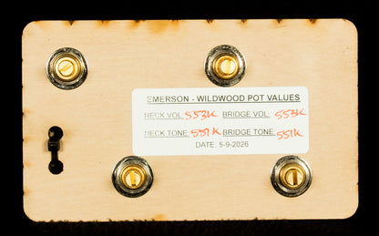Wildwood-Exclusive 550K LP RestoMod Prewired Kit - Long Shaft