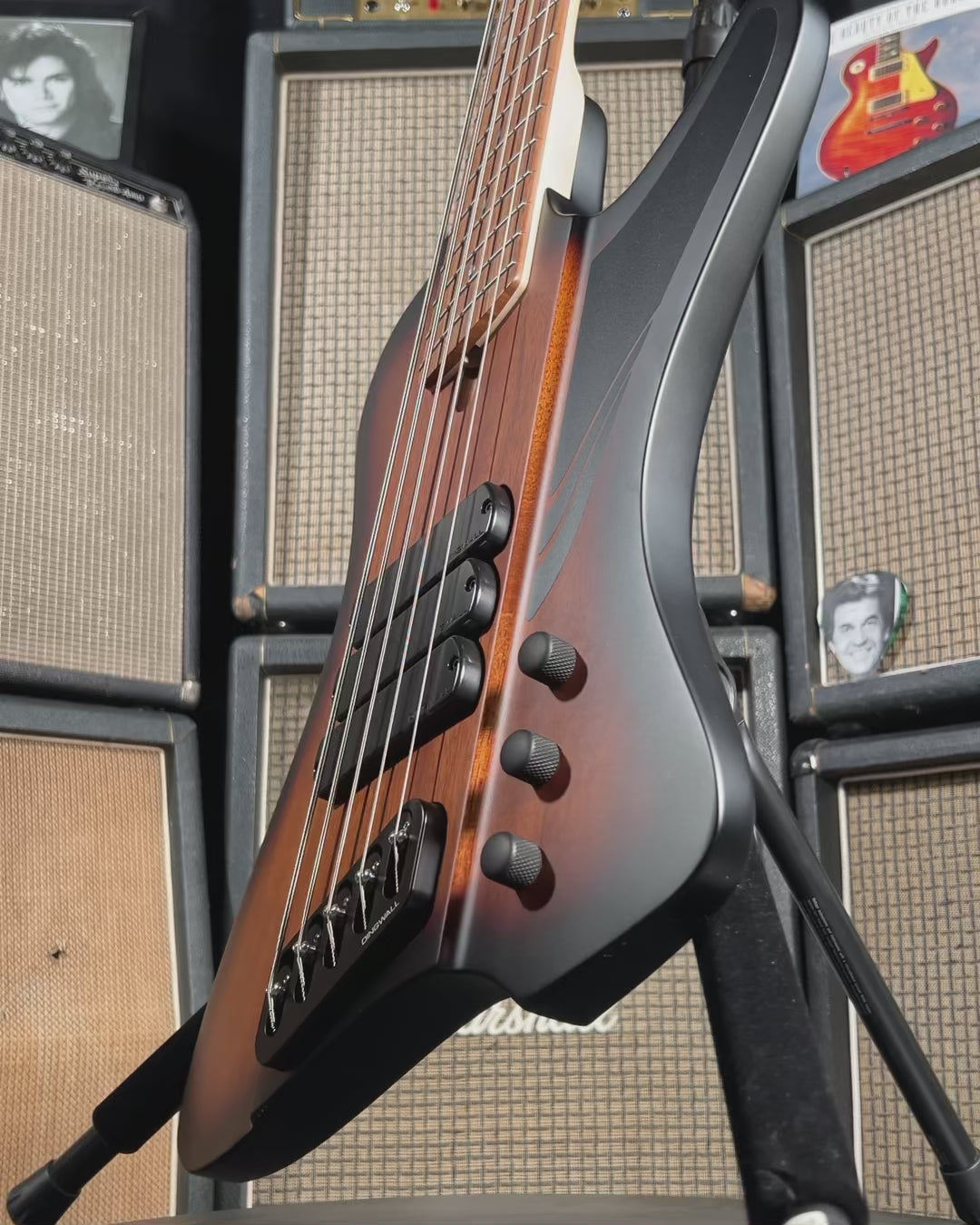 D-Roc Standard 5-String Bass