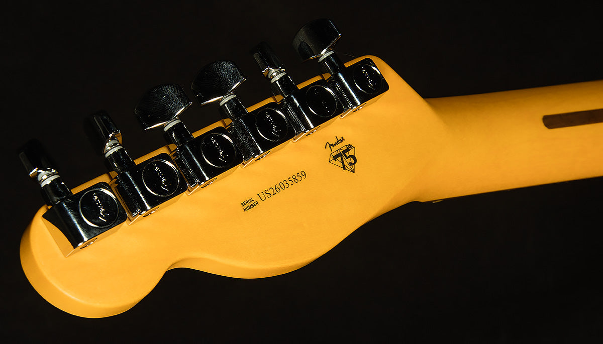 American Professional Telecaster