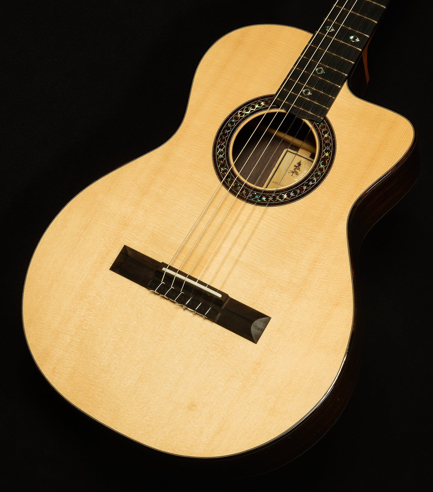 2024 Brian Applegate Classical/Crossover SJ Cutaway