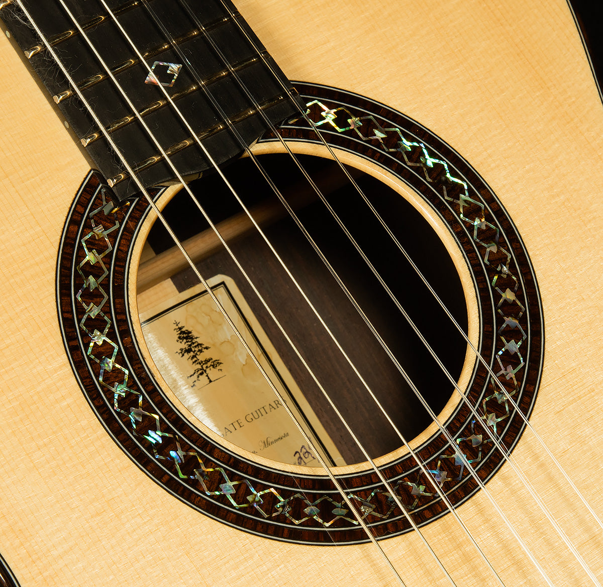 2024 Brian Applegate Classical/Crossover SJ Cutaway
