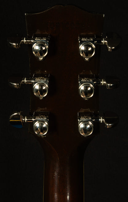 2010 J-160E Standard