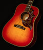 2017 Hummingbird