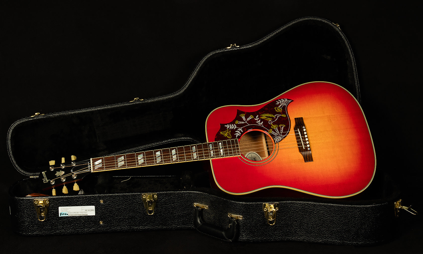 2017 Hummingbird