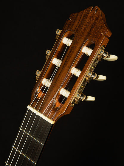 2001 Custom Signature