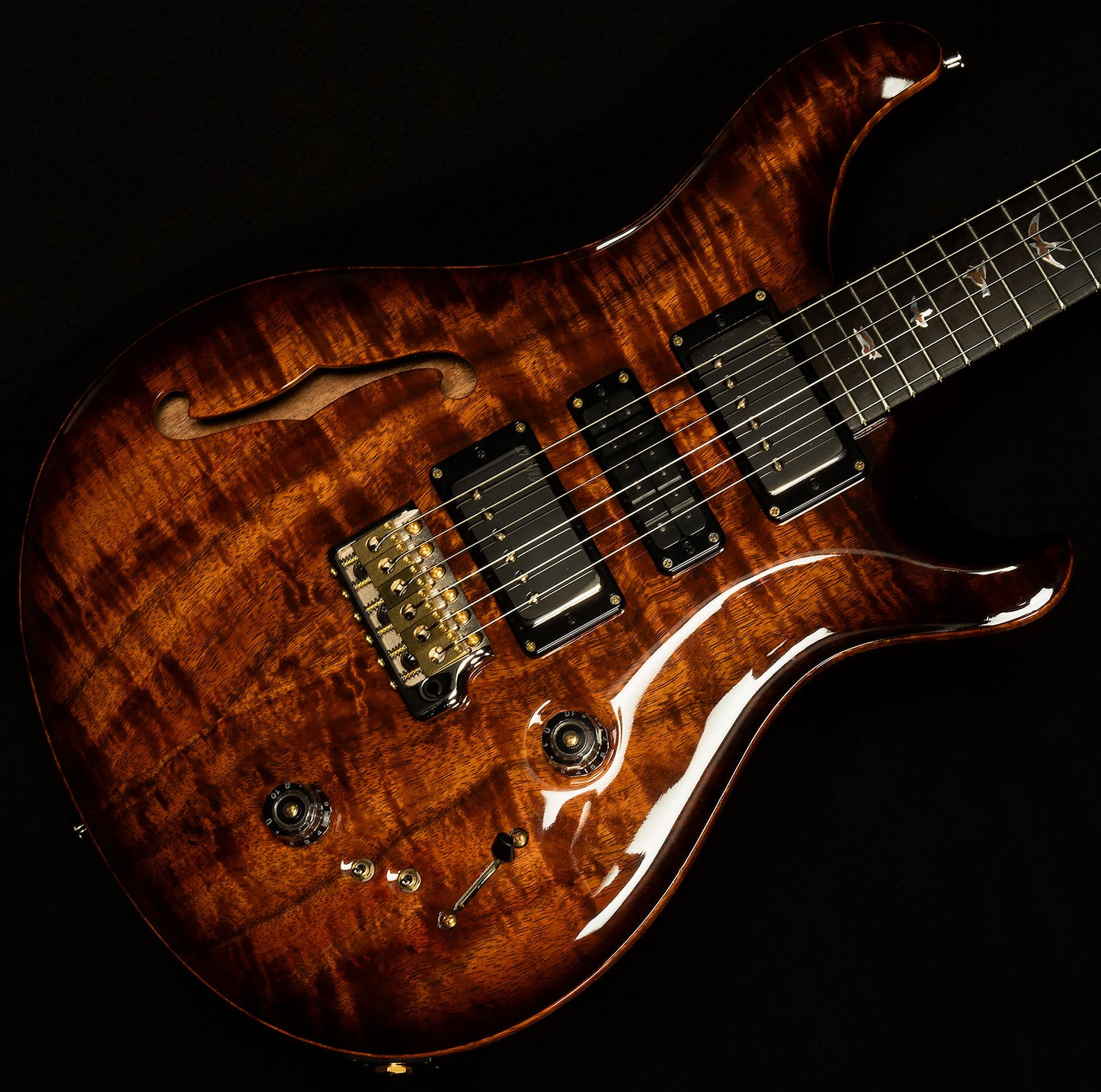 2023 Private Stock Special Semi-Hollow - Brazilian Rosewood