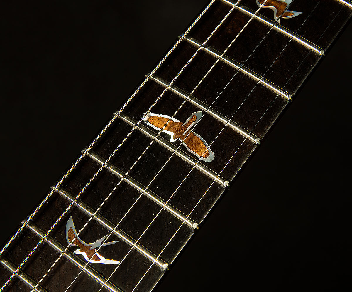 2023 Private Stock Special Semi-Hollow - Brazilian Rosewood