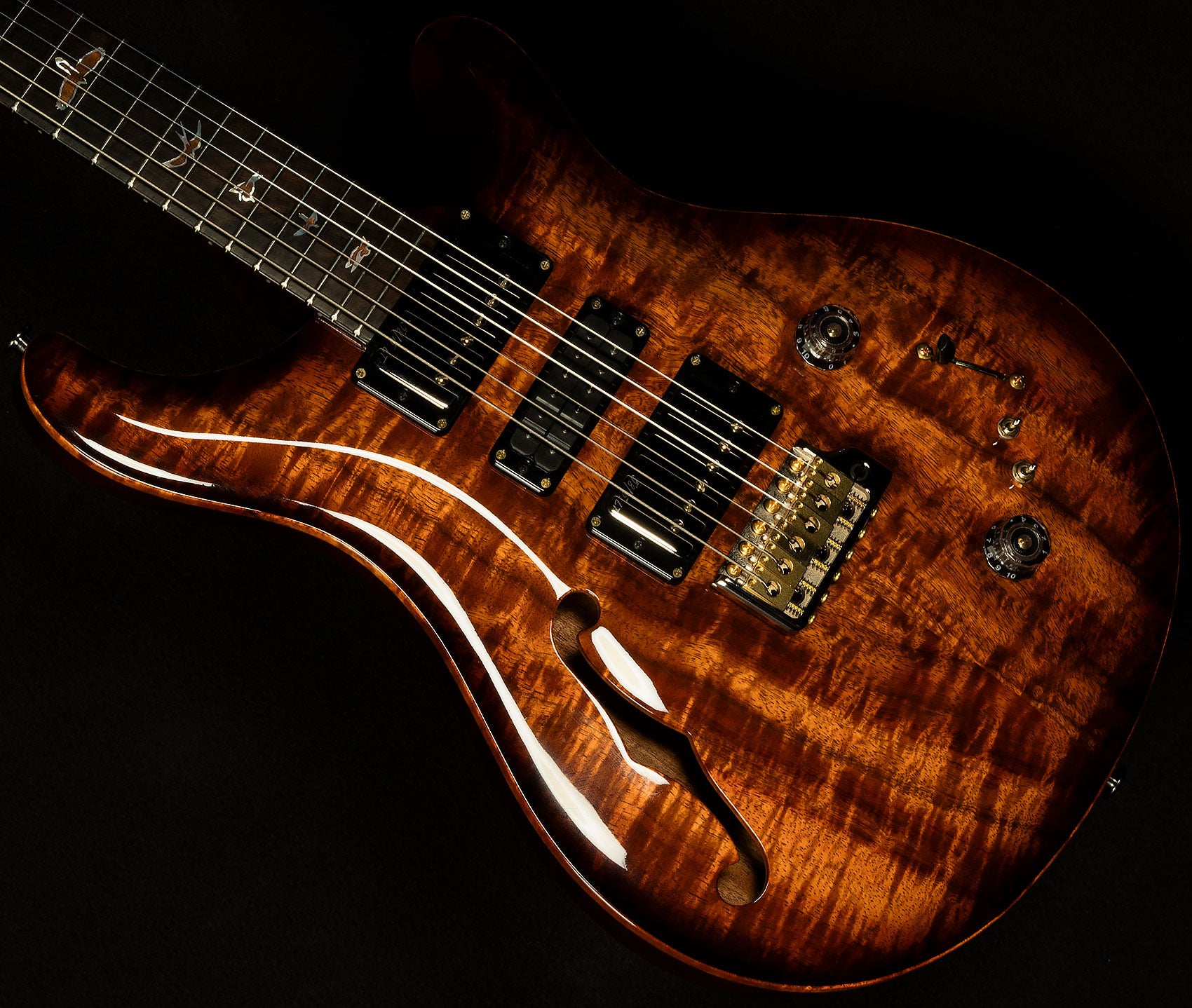 2023 Private Stock Special Semi-Hollow - Brazilian Rosewood