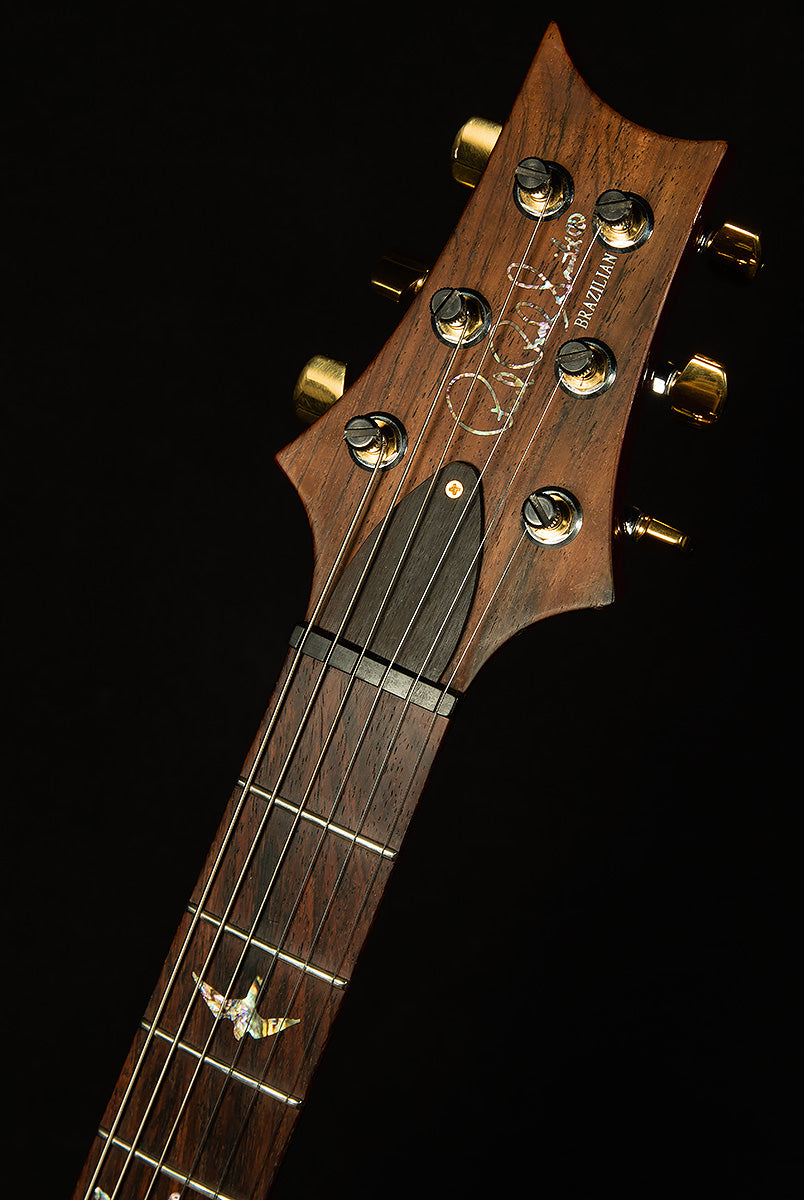 2003 PRS Guitars Limited Custom 24 10-Top - #313/500, Brazilian