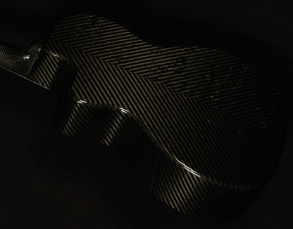 2015 RainSong NP12 - 12-Fret