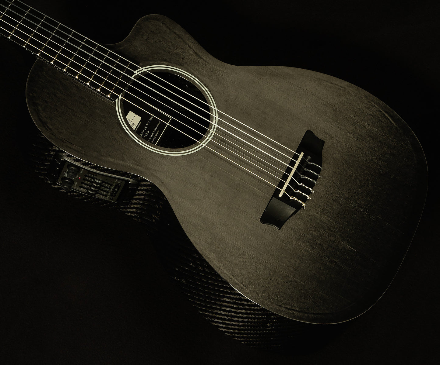 2015 RainSong NP12 - 12-Fret