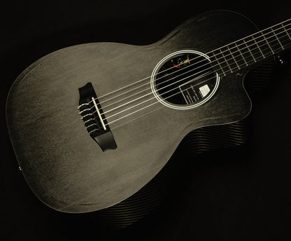2015 RainSong NP12 - 12-Fret