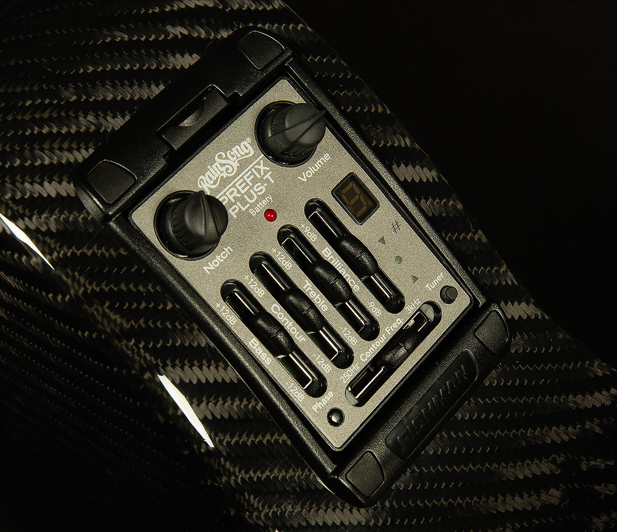 2015 RainSong NP12 - 12-Fret