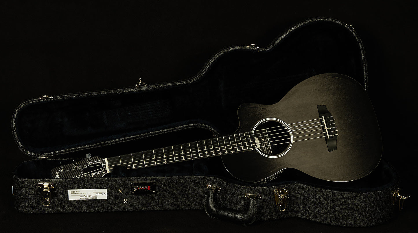 2015 RainSong NP12 - 12-Fret