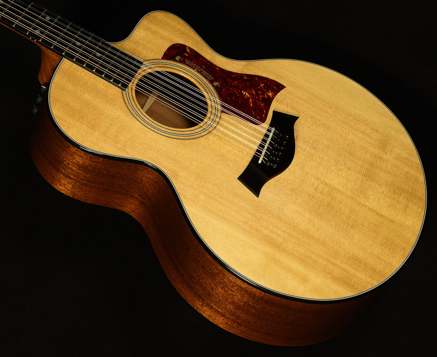 2010 355ce 12-String