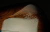 2023 Masterbuilt 1955 Stratocaster by Kyle McMillin - NOS
