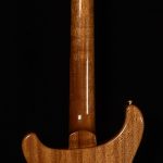 Wildwood Guitars Wood Library Fatback Custom 24 LT