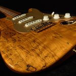 Custom Collection Wildwood 10 Artisan Stratocaster - Spalted Maple