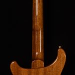 Wildwood Guitars Wood Library Fatback Custom 24 LT