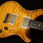 Wildwood Guitars Private Stock Dealer Limited DGT 594
