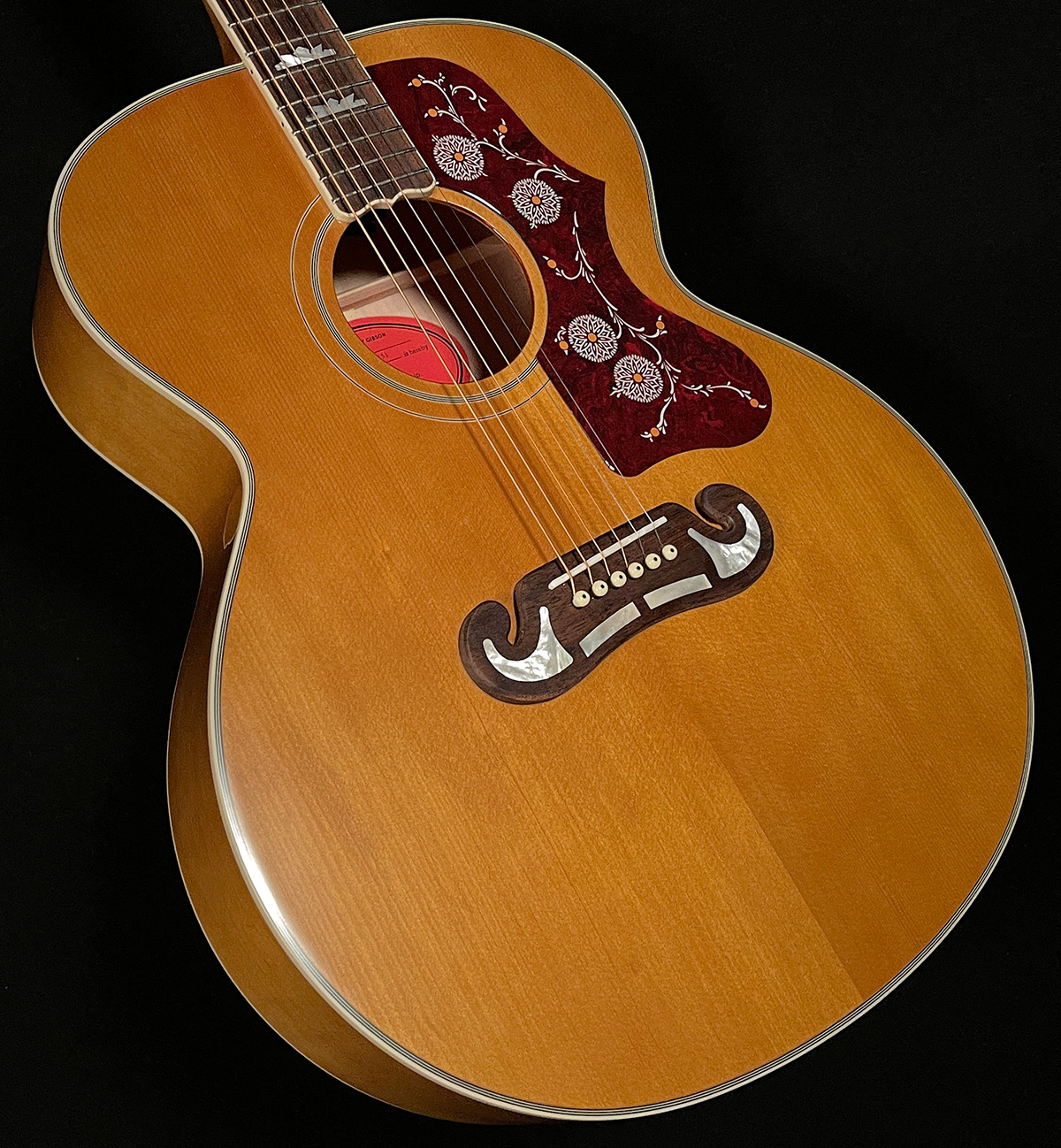 Inspired by Gibson J-200 | Epiphone Acoustics | Wildwood Guitars