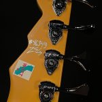 Mike Watt Wattplower Signature Bass w/Case