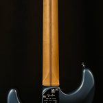 American Professional II Stratocaster