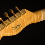 Fender Custom Wildwood 10 