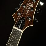 2022 Model SE Hollowbody II