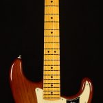 American Professional II Stratocaster HSS - Roasted Pine