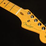 American Professional II Stratocaster HSS - Roasted Pine