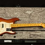 American Professional II Stratocaster HSS - Roasted Pine