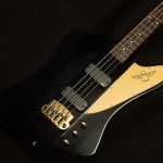 Rex Brown Thunderbird Signature Bass