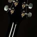 Mark Tremonti Signature