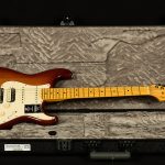 American Professional II Stratocaster HSS – Roasted Pine