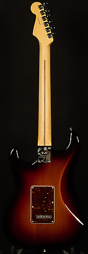 American Professional II Stratocaster