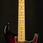 American Professional II Stratocaster