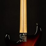 American Professional II Stratocaster