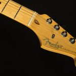 American Professional II Stratocaster