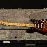 American Professional II Stratocaster