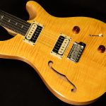 SE Custom 22 Semi-Hollow