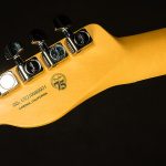 American Professional II Telecaster