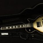 Adam Jones Les Paul Standard