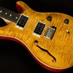 CE 24 Semi-Hollow