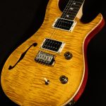 CE 24 Semi-Hollow