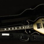 Adam Jones Les Paul Standard