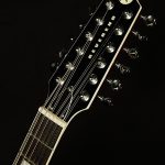 Wildwood-Exclusive Airwave 12-String