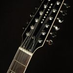 Wildwood-Exclusive Airwave 12-String