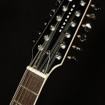 Wildwood-Exclusive Airwave 12-String